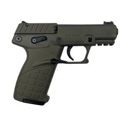 p17grn.jpg